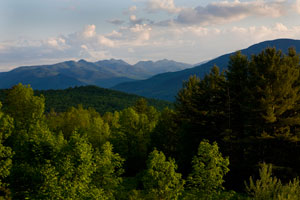 View from Dartbrook House